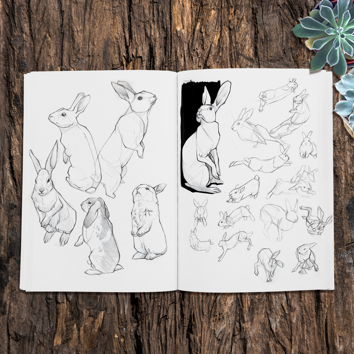 Sketchbook - Volume 2 PREORDER