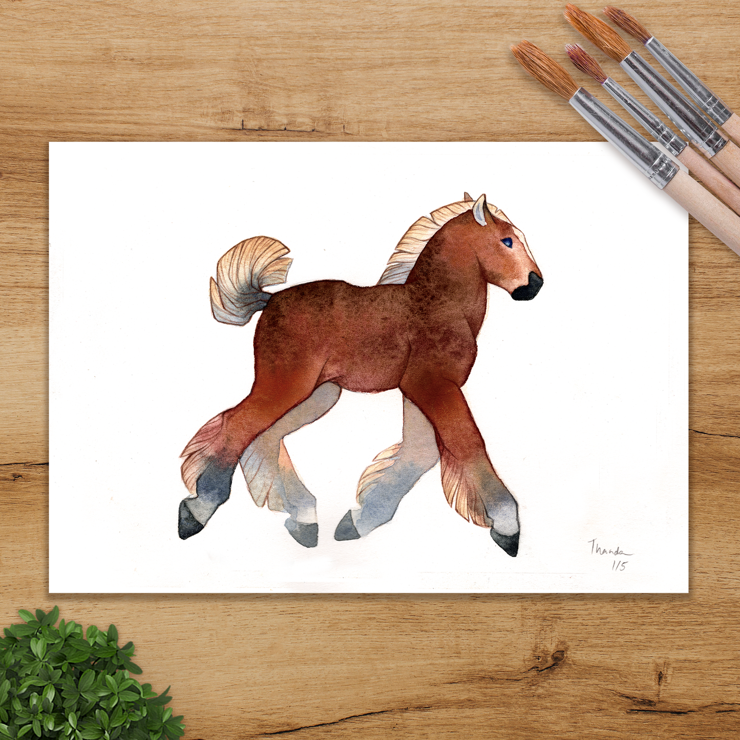 Epona Print Pack