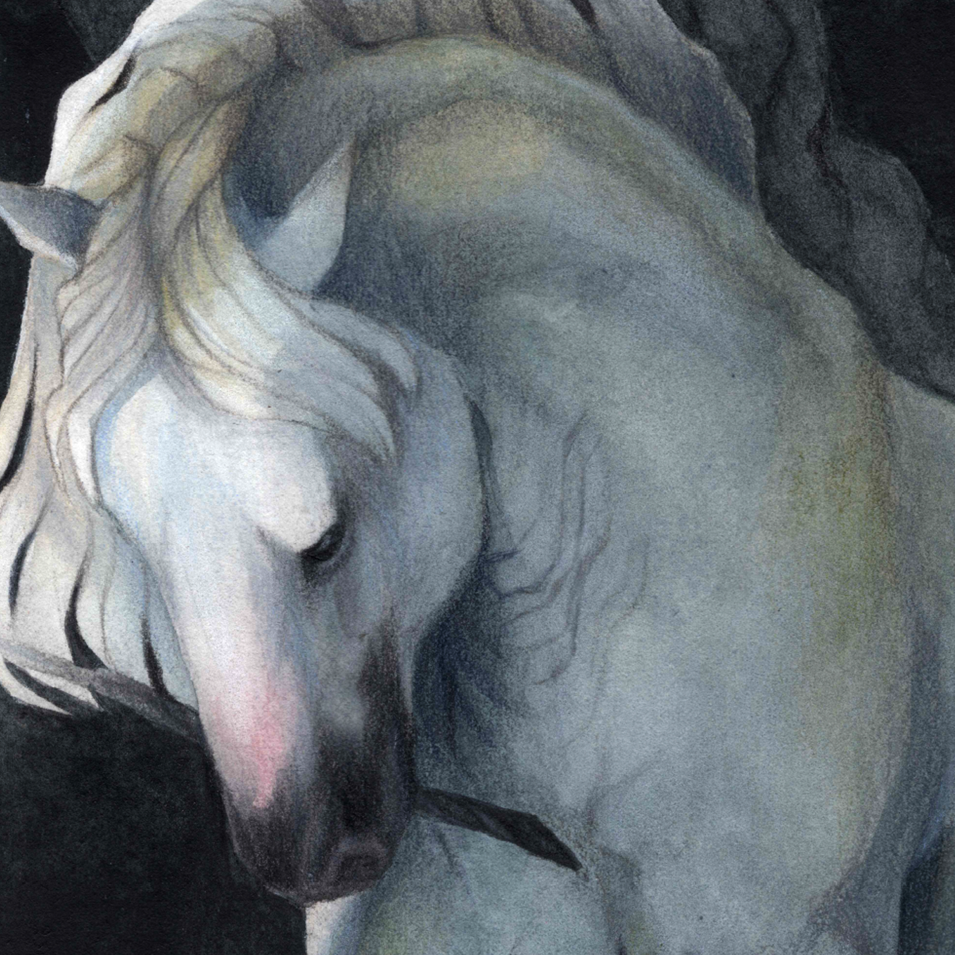 Illuminate - ORIGINAL PAINTING