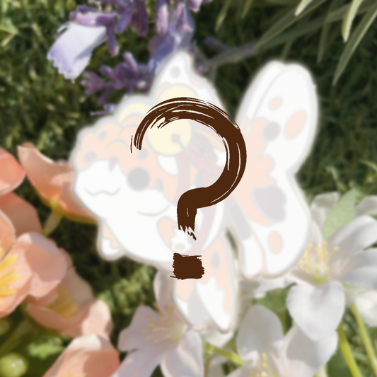 Mistery B-Grade & C-Grade Pins