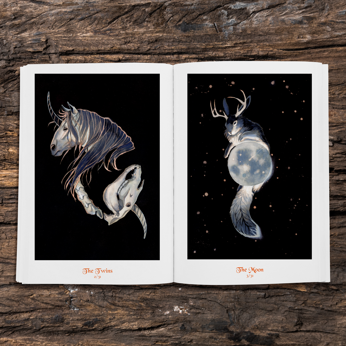 Mystical Creatures Artbook